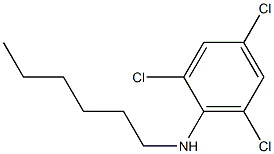 2,4,6-trichloro-N-hexylaniline Structure