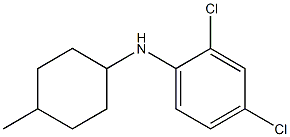 2,4-dichloro-N-(4-methylcyclohexyl)aniline Structure