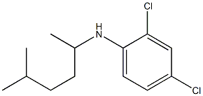 2,4-dichloro-N-(5-methylhexan-2-yl)aniline 구조식 이미지