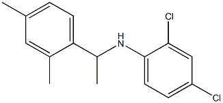 2,4-dichloro-N-[1-(2,4-dimethylphenyl)ethyl]aniline 구조식 이미지