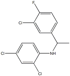 2,4-dichloro-N-[1-(3-chloro-4-fluorophenyl)ethyl]aniline 구조식 이미지