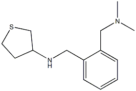 N-({2-[(dimethylamino)methyl]phenyl}methyl)thiolan-3-amine 구조식 이미지