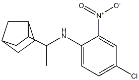 N-(1-{bicyclo[2.2.1]heptan-2-yl}ethyl)-4-chloro-2-nitroaniline Structure