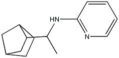 N-(1-{bicyclo[2.2.1]heptan-2-yl}ethyl)pyridin-2-amine 구조식 이미지