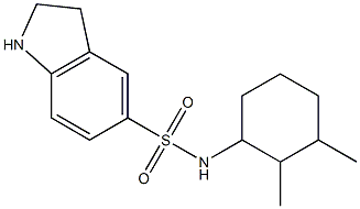 N-(2,3-dimethylcyclohexyl)-2,3-dihydro-1H-indole-5-sulfonamide 구조식 이미지
