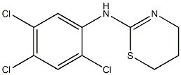 N-(2,4,5-trichlorophenyl)-5,6-dihydro-4H-1,3-thiazin-2-amine 구조식 이미지