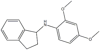 N-(2,4-dimethoxyphenyl)-2,3-dihydro-1H-inden-1-amine Structure