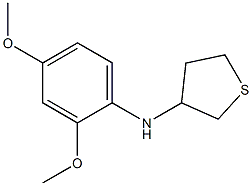 N-(2,4-dimethoxyphenyl)thiolan-3-amine 구조식 이미지