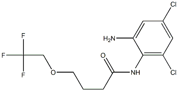 N-(2-amino-4,6-dichlorophenyl)-4-(2,2,2-trifluoroethoxy)butanamide 구조식 이미지