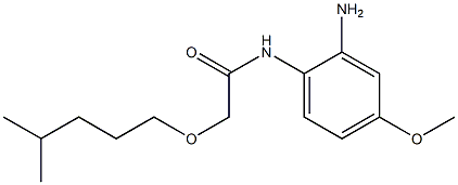 N-(2-amino-4-methoxyphenyl)-2-[(4-methylpentyl)oxy]acetamide 구조식 이미지