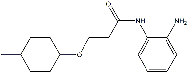 N-(2-aminophenyl)-3-[(4-methylcyclohexyl)oxy]propanamide Structure