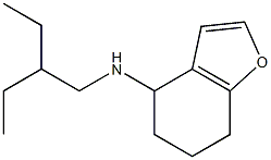 N-(2-ethylbutyl)-4,5,6,7-tetrahydro-1-benzofuran-4-amine 구조식 이미지