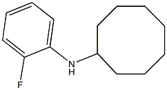 N-(2-fluorophenyl)cyclooctanamine Structure