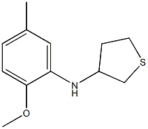 N-(2-methoxy-5-methylphenyl)thiolan-3-amine Structure