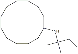 N-(2-methylbutan-2-yl)cyclododecanamine 구조식 이미지