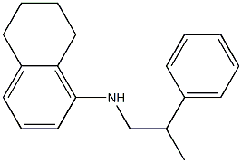 N-(2-phenylpropyl)-5,6,7,8-tetrahydronaphthalen-1-amine 구조식 이미지