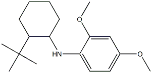 N-(2-tert-butylcyclohexyl)-2,4-dimethoxyaniline Structure