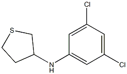 N-(3,5-dichlorophenyl)thiolan-3-amine 구조식 이미지