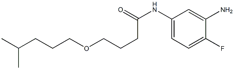 N-(3-amino-4-fluorophenyl)-4-[(4-methylpentyl)oxy]butanamide 구조식 이미지