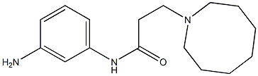N-(3-aminophenyl)-3-(azocan-1-yl)propanamide 구조식 이미지