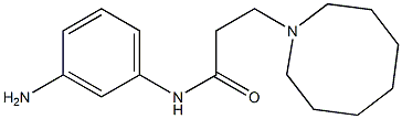 N-(3-aminophenyl)-3-(azocan-1-yl)propanamide Structure