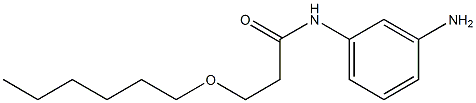 N-(3-aminophenyl)-3-(hexyloxy)propanamide 구조식 이미지