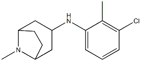 N-(3-chloro-2-methylphenyl)-8-methyl-8-azabicyclo[3.2.1]octan-3-amine Structure