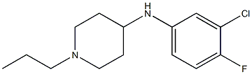 N-(3-chloro-4-fluorophenyl)-1-propylpiperidin-4-amine 구조식 이미지