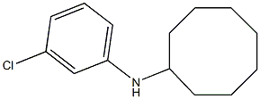 N-(3-chlorophenyl)cyclooctanamine 구조식 이미지