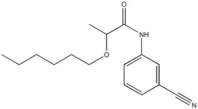 N-(3-cyanophenyl)-2-(hexyloxy)propanamide 구조식 이미지