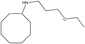 N-(3-ethoxypropyl)cyclooctanamine 구조식 이미지