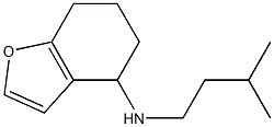 N-(3-methylbutyl)-4,5,6,7-tetrahydro-1-benzofuran-4-amine 구조식 이미지