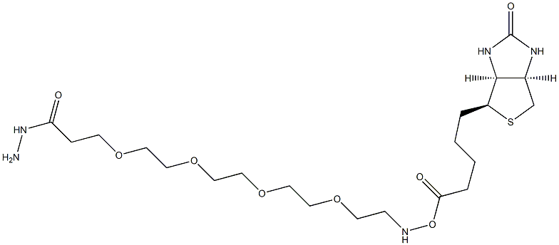 15-Biotinamino-4,7,10,13-tetraoxa-pentadecanoyl hydrazide 구조식 이미지