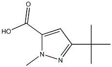 2-METHYL-3-CARBOXY-5-TERTBUTYLPYRAZOLE Structure