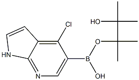 4-CHLORO-1H-PYRROLO[2,3-B]PYRIDINE-5-BORONIC ACID PINACOL ESTER 구조식 이미지