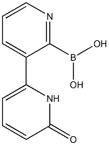 6-(1H-PYRIDIN-2-ONE)PYRIDINE-2-BORONIC ACID Structure