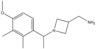 C-{1-[1-(4-METHOXY-2,3-DIMETHYL-PHENYL)-ETHYL]-AZETIDIN-3-YL}-METHYLAMINE 구조식 이미지