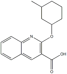 2-[(3-methylcyclohexyl)oxy]quinoline-3-carboxylic acid Structure