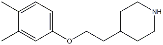 4-[2-(3,4-dimethylphenoxy)ethyl]piperidine Structure