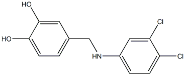 4-{[(3,4-dichlorophenyl)amino]methyl}benzene-1,2-diol 구조식 이미지