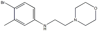 4-bromo-3-methyl-N-[2-(morpholin-4-yl)ethyl]aniline Structure