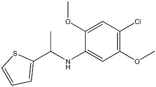 4-chloro-2,5-dimethoxy-N-[1-(thiophen-2-yl)ethyl]aniline Structure