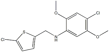 4-chloro-N-[(5-chlorothiophen-2-yl)methyl]-2,5-dimethoxyaniline 구조식 이미지