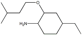 4-ethyl-2-(3-methylbutoxy)cyclohexan-1-amine Structure