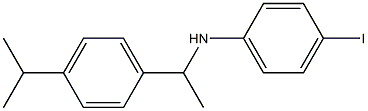 4-iodo-N-{1-[4-(propan-2-yl)phenyl]ethyl}aniline 구조식 이미지