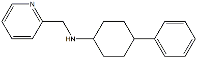 4-phenyl-N-(pyridin-2-ylmethyl)cyclohexan-1-amine 구조식 이미지