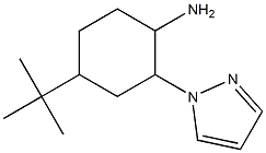 4-tert-butyl-2-(1H-pyrazol-1-yl)cyclohexanamine 구조식 이미지