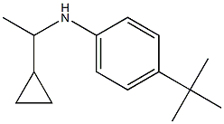 4-tert-butyl-N-(1-cyclopropylethyl)aniline 구조식 이미지