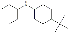 4-tert-butyl-N-(pentan-3-yl)cyclohexan-1-amine 구조식 이미지