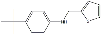 4-tert-butyl-N-(thiophen-2-ylmethyl)aniline 구조식 이미지